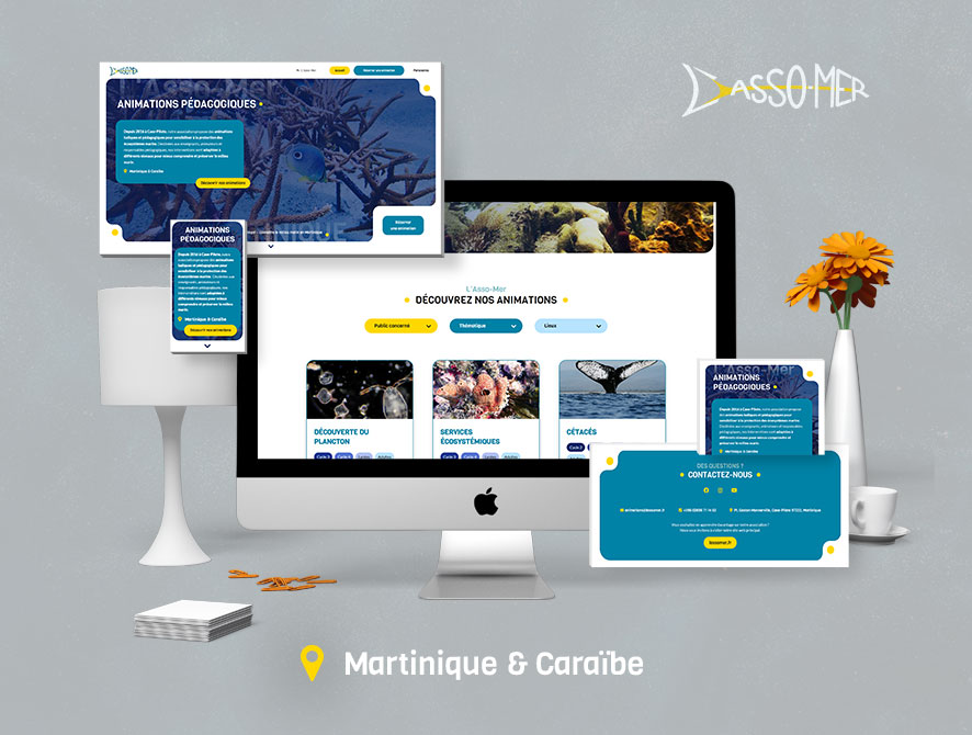 Site web